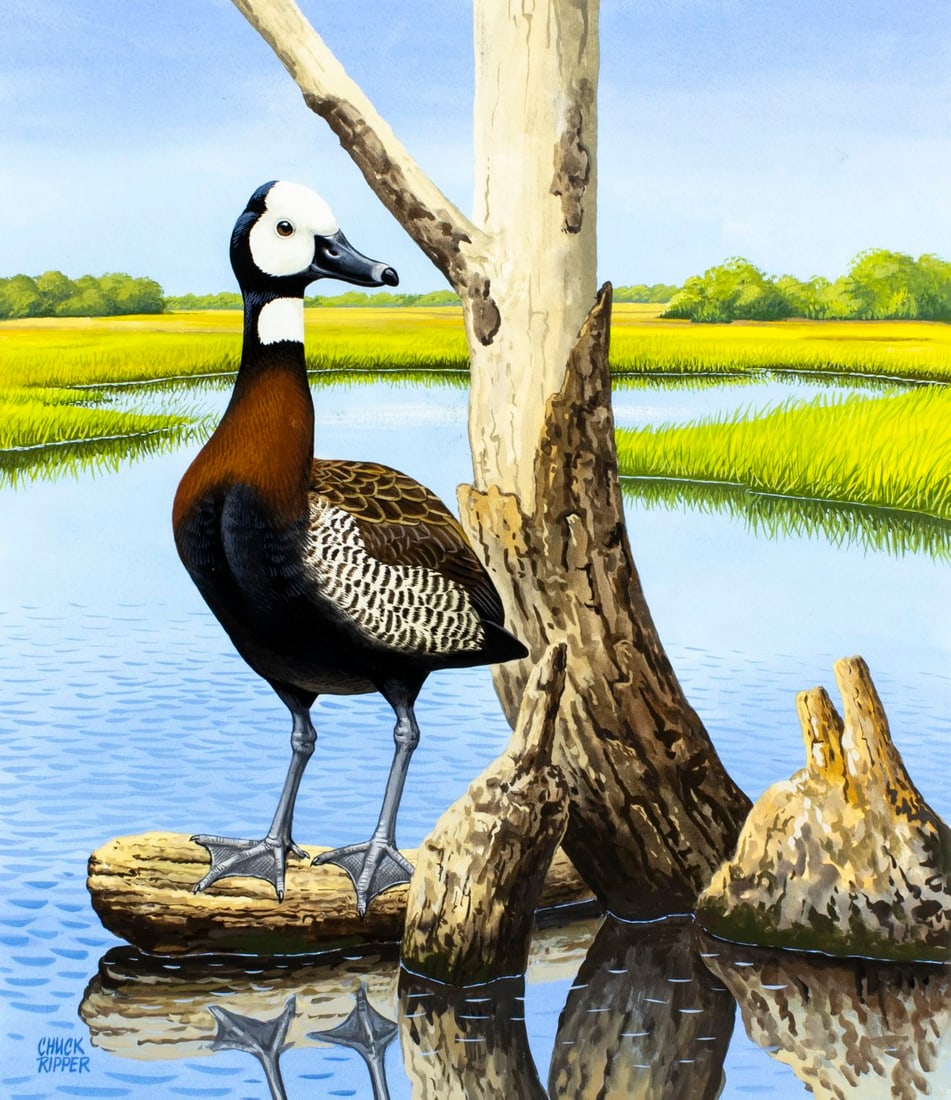 Chuck Ripper (WV,PA,1929-2019) gouache painting: ARTIST: Chuck Ripper (West Virginia, Pennsylvania, 1929 - 2019) TITLE: White-Faced Whistling Duck (titled on verso) YEAR: 2003 MEDIUM: gouache on board CONDITIO