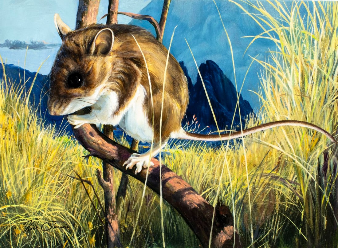 Kirk Stirnweis (NH,CO,b 1967) oil painting: ARTIST: Kirk Stirnweis (Colorado, New Hampshire, born 1967) TITLE: Deer Mouse YEAR: 1986 MEDIUM: oil on board CONDITION: Very good. No visible inpaint un