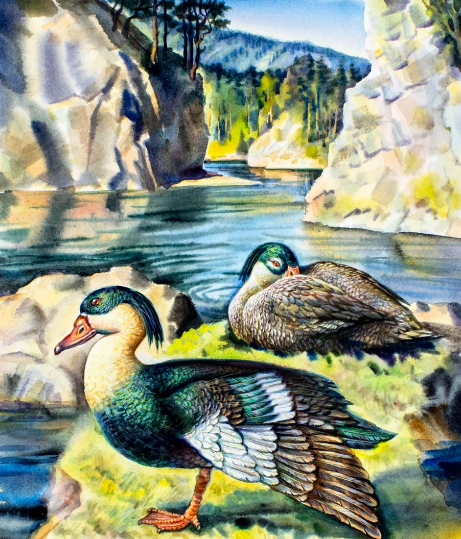 Ivan Kozlov (Russia,1937-?) watercolor painting: ARTIST: Ivan Kozlov (Russian, 1937 - ???) TITLE: Russia Duck Conservation (titled on verso) YEAR: 1995 MEDIUM: watercolor on heavy paper CONDITION: Ver