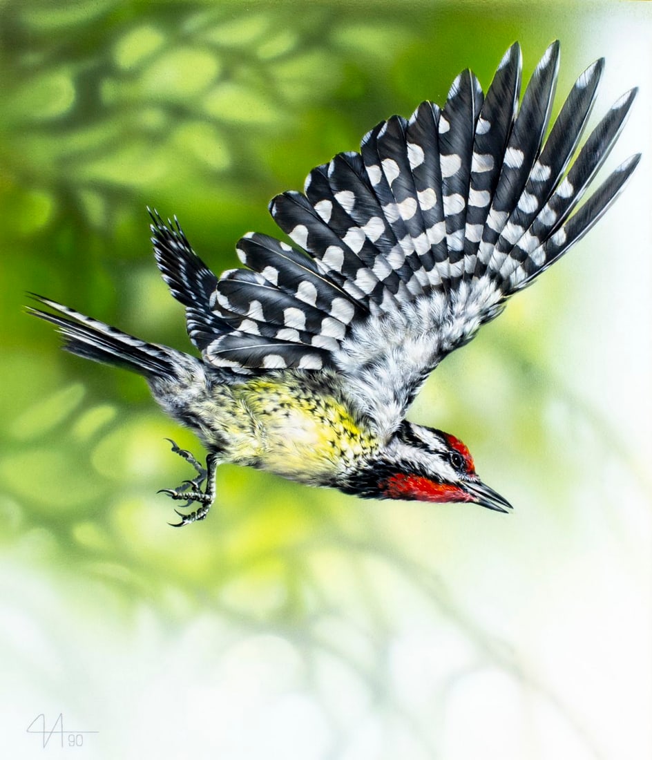 Alexei Isakov (Russia,20C) gouache painting: ARTIST: Alexei Isakov (Russian, 20 century) TITLE: Yellow-bellied Sapsucker Bird, Turks and Caicos (titled on verso) YEAR: 1990 MEDIUM: gouache on board CONDITION
