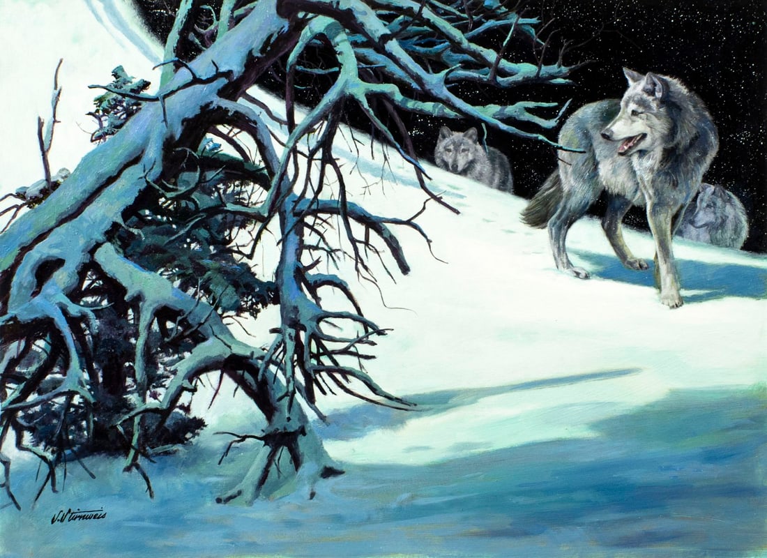 Shannon Stirnweis (AZ,NY,NH,OR,1931-2019) oil painting (1 of 12)