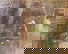 item-207401727=9