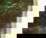item-207401751=12