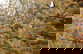 item-207401751=20