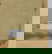 item-207401777=11