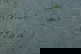 item-207401905=15