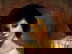 item-207401959=7