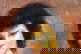 item-207401959=8