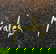 item-207402086=4