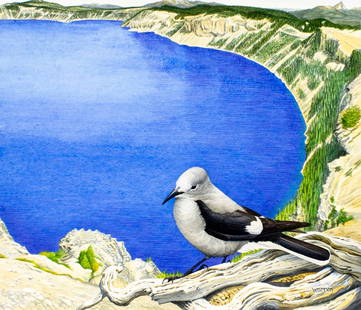 Michael Warren (UK,1938-?) mixed media painting: ARTIST: Michael Warren (United Kingdom, 1938 - ???) TITLE: Clarks Nutcracker Bird, Oregon YEAR: 1986 MEDIUM: mixed media on heavy paper CONDITION: Very