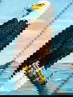A Hoffman (US,20C) oil painting: ARTIST: A Hoffman (American, 20 century) TITLE: Bird - Eagle YEAR: 1977 MEDIUM: oil on board CONDITION: Overall good. No visible inpaint under UV light.
