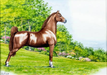 Peter Barrett (UK,1935-?) watercolor painting: ARTIST: Peter Barrett (United Kingdom, 1935 - ???) TITLE: Saddlebred Horse YEAR: 1985 MEDIUM: watercolor on paper. Paper applied to board. CONDITION: V