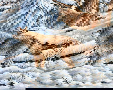 Pat Conner (US,20C) oil painting: ARTIST: Pat Conner (American, 20 century) TITLE: Two Wolves in Winter Forest MEDIUM: oil on board CONDITION: Minor damage to upper right corner. No visible inpaint under UV light. ART SIZE: 16 x 20