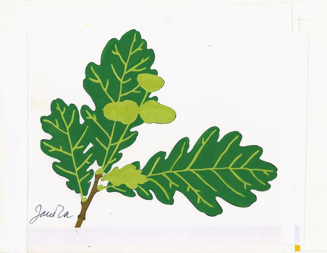 Elisabeth von Janota-Browsky (German,20C) gouache painting (1 of 13)