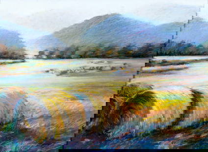 Vintage 20C NY pastel painting signed: ARTIST: - (New York, 20 century) TITLE: Landscape with Hayrolls, Catskills, NY MEDIUM: pastel on paper CONDITION: Overall good. Normal wear along edges ART SIZE: 15 x 21 inches / 38 x 53 cm MAT