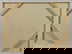 item-208450177=9