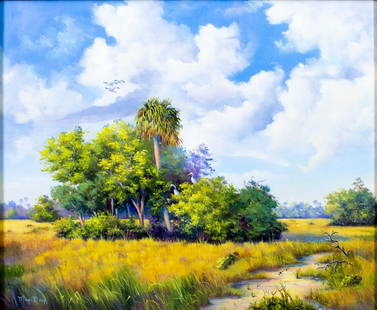 Magi Day (FL,20/21C) oil painting: ARTIST: Magi Day (Florida, 20/21 centuries) TITLE: Everglades National Park Landscape, FL MEDIUM: oil on canvas CONDITION: Very good. No visible inpaint under UV light. ART SIZE: 20 x 24 inches / 50