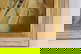 item-208450338=10