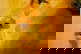 item-208450338=8