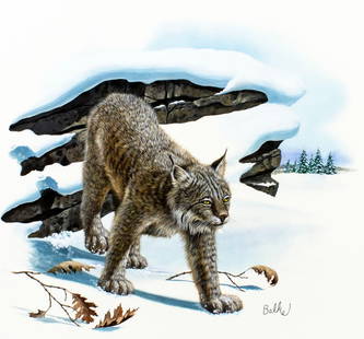Don Balke (NC,1933-?) gouache painting: ARTIST: Don Balke (North Carolina, 1933 - ???) TITLE: Canada Lynx, Red Oak, New Jersery (titled on verso) YEAR: 1980 MEDIUM: gouache and watercolor on board CON