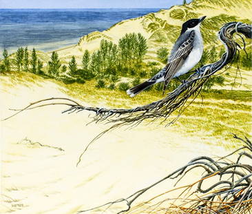Michael Warren (UK,1938-?) watercolor painting: ARTIST: Michael Warren (United Kingdom, 1938 - ???) TITLE: Eastern Kingbird, Indiana (titled on verso) YEAR: 1987 MEDIUM: watercolor on heavy paper CONDITION:</