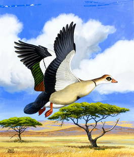 Chuck Ripper (WV,PA,1929-2019) gouache painting: ARTIST: Chuck Ripper (West Virginia, Pennsylvania, 1929 - 2019) TITLE: Egyptian Goose Bird (titled on verso) YEAR: 2003 MEDIUM: gouache on board CONDITION: