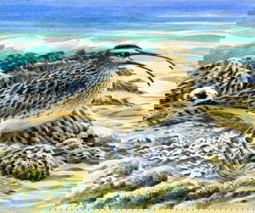Michael Warren (UK,1938-?) watercolor painting: ARTIST: Michael Warren (United Kingdom, 1938 - ???) TITLE: Wildlife Conservation WWF, Bristle-thighed Curlew Bird (titled on verso) YEAR: 1997 MEDIUM: watercolor on heavy