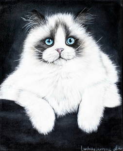 Lyudmila Litvinova (Russia,b 1991) acrylic painting: ARTIST: Lyudmila Litvinova (Russian, born 1991) TITLE: Ragdoll Cat (titled on verso) MEDIUM: acrylic on canvas CONDITION: Unstretched (In-House stretching available). Very g