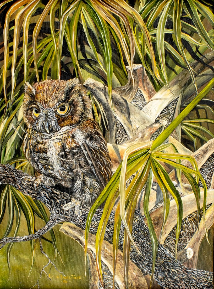 Linda K Della Poali (FL,20/21C) oil painting: ARTIST: Linda K Della Poali (Florida, 20/21 centuries) TITLE: Owl MEDIUM: oil on canvas CONDITION: Very good. No visible inpaint under UV light. ART SIZE: