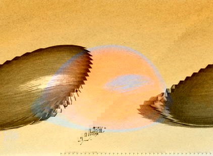 Clive Abbott (UK,1933–2008) watercolor painting: ARTIST: Clive Abbott (United Kingdom, 1933 – 2008) TITLE: Cypraea Aurantium - Golden Cowrie (titled on verso) YEAR: 1998 MEDIUM: watercolor on paper. Paper applied to board. CONDITION: Very good.