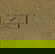 item-209008934=13