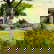 item-209008958=5