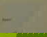 item-209008962=9
