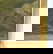 item-209009017=10