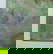 item-209009020=10