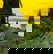 item-209009053=7