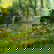 item-209009063=7