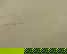 item-209228360=9