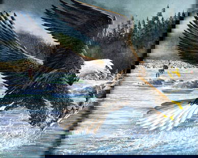 Keith Warrick (US,20/21C) oil painting: ARTIST: Keith Warrick (American, 20/21 centuries) TITLE: Bald Eagle Fishing MEDIUM: oil on canvas CONDITION: One patch repaired puncture with corresponding paint loss. No visible inpaint under UV