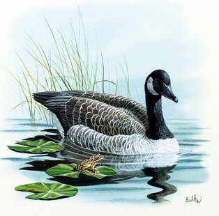 Don Balke (NC,1933-?) gouache painting: ARTIST: Don Balke (North Carolina, 1933 - ???) TITLE: Canada Goose (titled on verso) YEAR: 1987 MEDIUM: gouache and watercolor on board CONDITION: Minor age toning. ART SIZE: 11 x 11 inches / 27 x