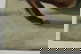 item-209228378=10