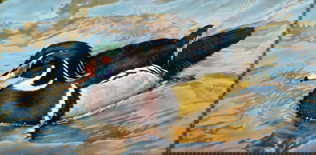 Leslie Macon (NC,20/21C) oil painting: ARTIST: Leslie Macon (North Carolina, 20/21 centuries) TITLE: Wood Duck Swimming YEAR: 2001 MEDIUM: oil on board CONDITION: Very good. No visible inpaint