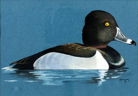 Lee Mauney (NC,20/21C) gouache painting: ARTIST: Lee Mauney (North Carolina, 20/21 centuries) TITLE: Ring Neck Duck MEDIUM: gouache on paper CONDITION: Very good. Framed under glass. ART SIZE: