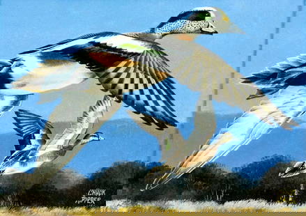 Chuck Ripper (WV,PA,1929-2019) watercolor painting: ARTIST: Chuck Ripper (West Virginia, Pennsylvania, 1929 - 2019) TITLE: American Wigeon Ducks MEDIUM: watercolor on paper CONDITION: Very good. No visible inpaint under UV