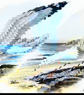Don Balke (NC,b 1933) gouache painting: ARTIST: Don Balke (North Carolina, born 1933) TITLE: Bird - Herring Gull MEDIUM: gouache and watercolor on board CONDITION: Very good. No visible inpaint under UV light. ART SIZE: 12 x 11 inches /