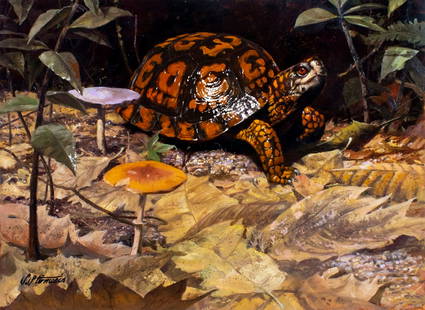 Shannon Stirnweis (AZ,NY,NH,OR,1931-2019) oil painting: ARTIST: Shannon Stirnweis (Arizona, New York, New Hampshire, Oregon, 1931 - 2019) TITLE: Box Turtle (titled on verso) YEAR: 1987 MEDIUM: oil on board CONDITION: Very good. No visible inpaint under