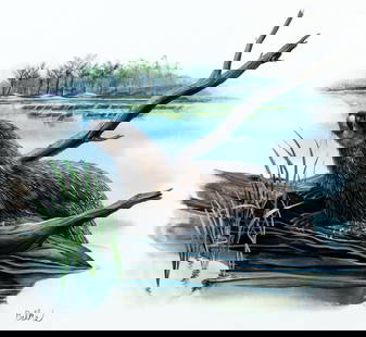 Don Balke (NC,1933-?) gouache painting: ARTIST: Don Balke (North Carolina, 1933 - ???) TITLE: River Otter and Palmetto, Florida (titled on verso) YEAR: 1979 MEDIUM: gouache and watercolor on board CONDITION: Very good. ART SIZE: 12 x 14