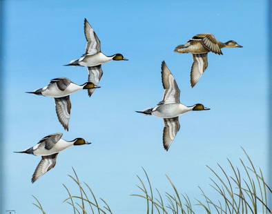 Lee Mauney (NC,20/21C) oil painting: ARTIST: Lee Mauney (North Carolina, 20/21 centuries) TITLE: Flying Pintail Ducks MEDIUM: oil on canvas CONDITION: Overall good. No visible inpaint under UV light.