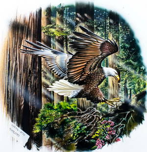 William Teodecki (MD,20C) gouache painting: ARTIST: William G Teodecki (Maryland, 20 century) TITLE: Eagle in Woods MEDIUM: gouache on heavy paper CONDITION: Some foxing mostly along edges. Minor age toning. ART SIZE: 14 x 14 inches / 35 x 35