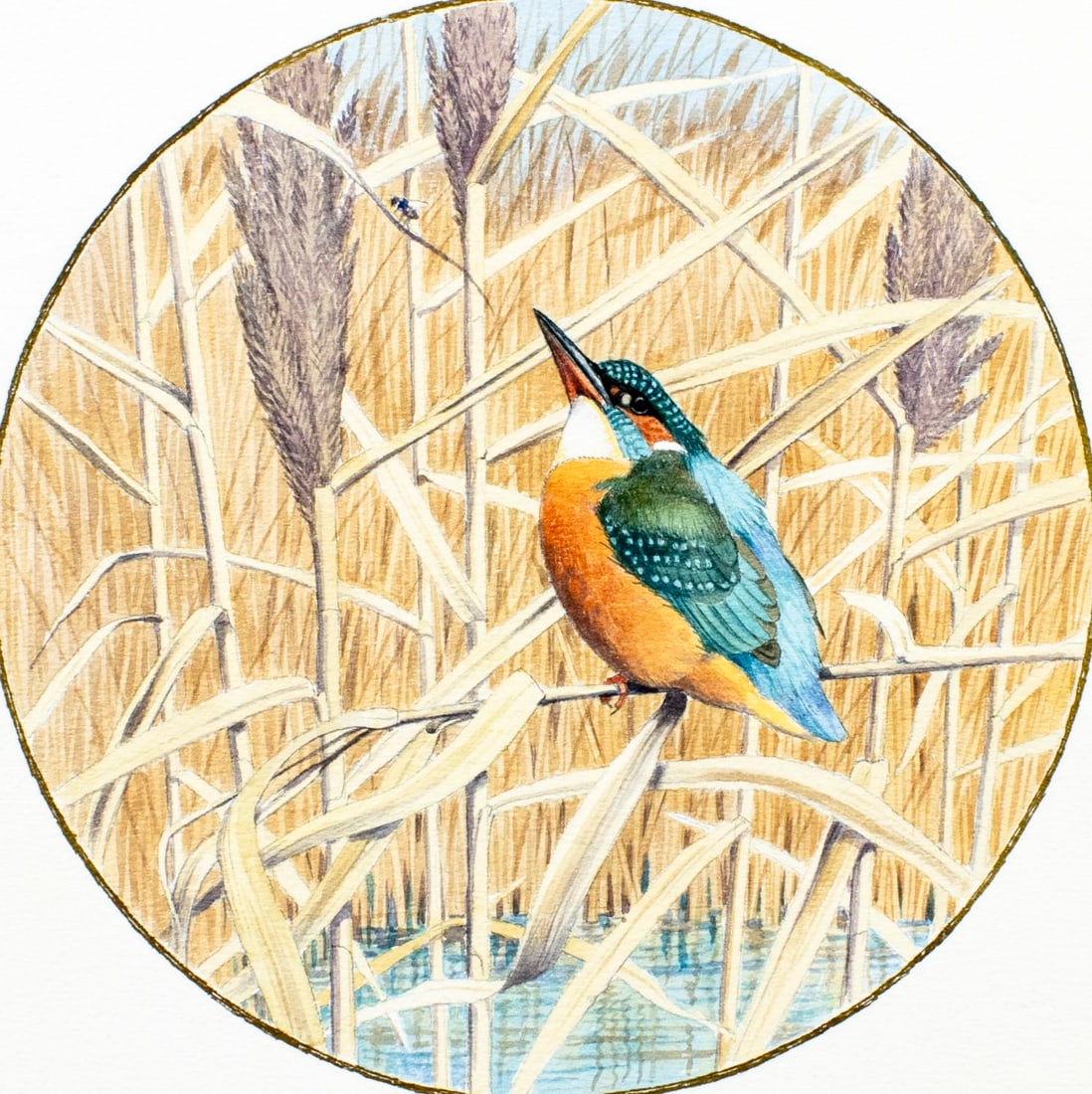 Peter Barrett (UK,1935-?) watercolor painting: ARTIST: Peter Barrett (United Kingdom, 1935 - ???) TITLE: European Kingfisher Bird MEDIUM: watercolor on heavy paper CONDITION: Some foxing (just few spots). Minor age ton